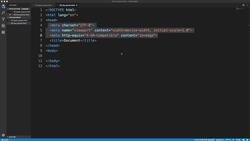 Modern HTML and CSS from the Beginning (Including Sass) - Setting Up Live Server (VSCode Extension) Instructional Video