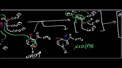 Isocitrate Dehydrogenase Instructional Video