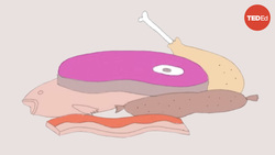 TED-Ed: What would happen if everyone stopped eating meat tomorrow? | Carolyn Beans Instructional Video