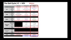 The Gait Cycle [Part 2] | Terminal Stance (TSt) → Pre-swing (PSw) Instructional Video