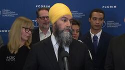 Singh wants Trump uninvited from G7 June summit in Canada News Clip