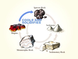 El ciclo de la roca: rutas en el ciclo de la roca Instructional Video