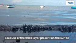 Oil Pollution Instructional Video