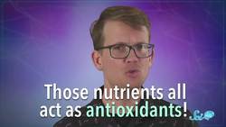 Why Diet Might Be a Big Deal for Mental Health Instructional Video