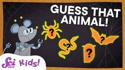 Not-So-Creepy Creatures | SciShow Kids Compilation Instructional Video