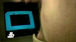 Unveiling Animal Ingenuity: From Pigs to Ravens Instructional Video