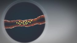 Study shows Earth’s poles wandered far for millions of years Instructional Video