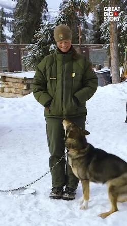 Denali's sled dogs, navigating the wilderness with Alaska's natural travelers Instructional Video