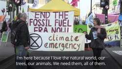 Why is Extinction Rebellion still protesting? News Clip