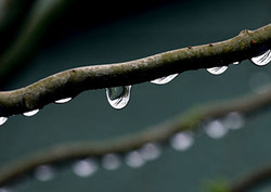 Lluvia ácida Instructional Video