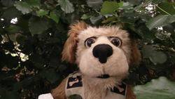 Animal Alphabet: I is for Iguana Instructional Video