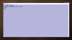 How to use the sudo command: 2-Minute Linux Tips Instructional Video
