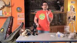 How to Demonstrate Principles of Engineering, Stability & Gravity Instructional Video