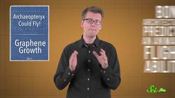 The First Known Bird Could Fly, But Super Awkwardly Instructional Video