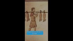 If only Cats were there to save us... | Animals that Changed History Instructional Video