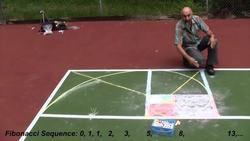 The Golden Ratio: The Divine Proportion in Nature and Art Instructional Video