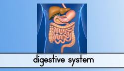 Breathing and Eating Instructional Video