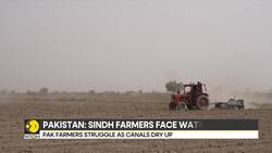 Pakistan: Sindh farmers face water shortage, Indus river runs dry & crops at risk News Clip