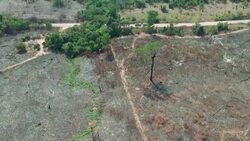 CLEAN : Brazil highways drive Amazon development and destruction News Clip