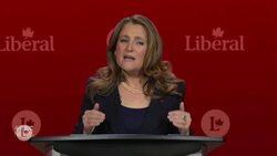 Liberal leadership candidates on why Trump wants to hit Canada with tariffs News Clip