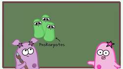 Gene Regulation and the Order of the Operon Instructional Video