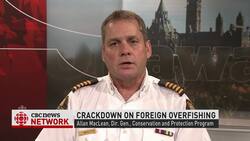 Inspections of foreign fishing vessels off N.L. coast drop by 50% News Clip