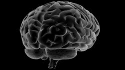 World Cup exoskeleton allows paraplegic to walk again Instructional Video