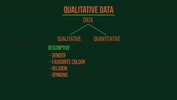 Types Of Data Instructional Video