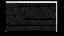 Elasticsearch 7 and Elastic Stack - In Depth and Hands On! - Importing JavaScript Object Notation (JSON) Data with Logstash Instructional Video