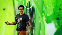 TED: The fascinating physics of insect pee | Saad Bhamla Instructional Video