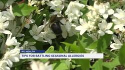 ​Health experts: People with seasonal allergies should take medication ahead of spring News Clip