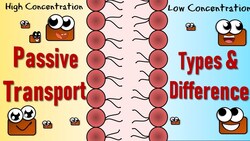 Passive Transport: Diffusion, Facilitated Diffusion & Osmosis Instructional Video
