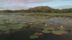 View from a boat in the Northern Territory, Australia Stock Footage