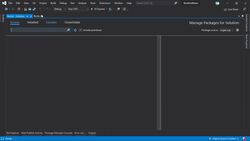 The Complete Guide to ASP.NET Core MVC (.NET 5) - Add Connection String and Packages Instructional Video
