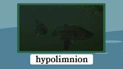 Global Aquatic Ecosystems Instructional Video