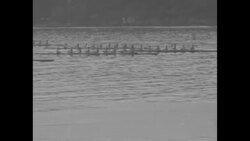 University of Washington wins 1936 Poughkeepsie Regatta on New York's Hudson River News Clip