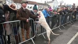 Traditional Boxing Day hunt get underway News Clip