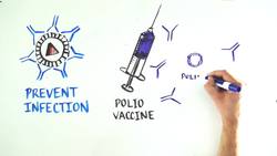 Vaccines: How They Work and Protect Us Instructional Video