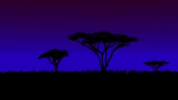 animals and safari of africa around view [loop] Stock Footage