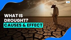 What is Drought- Causes & Effects of Drought Instructional Video