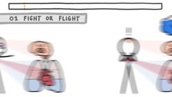 The Secrets of Extreme Breath Holding Instructional Video