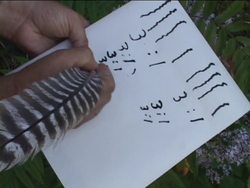 Genetics in Our Lives: Father of Genetics Instructional Video