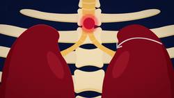 BIOLOGY - Physiology - Respiratory System Instructional Video