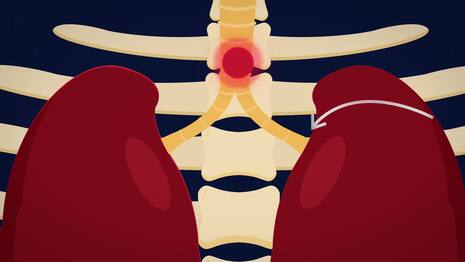BIOLOGY - Physiology - Respiratory System