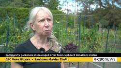 'Is it worth it?' Morale low after raids on community garden News Clip