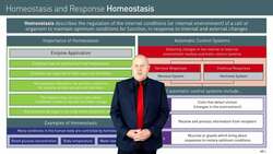 Introduction to Homeostasis and its Importance in the Human Body Instructional Video