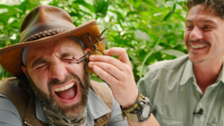 PINCHED by an Elephant Beetle! Instructional Video