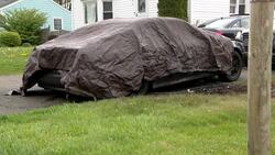 Investigation underway after 4 dogs die in Milford car fire News Clip