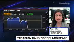 TD's Priya Misra, JPMorgan's Bob Michele on Treasury Yields News Clip