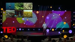 TED: The mission to create a searchable database of Earth's surface | Will Marshall Instructional Video